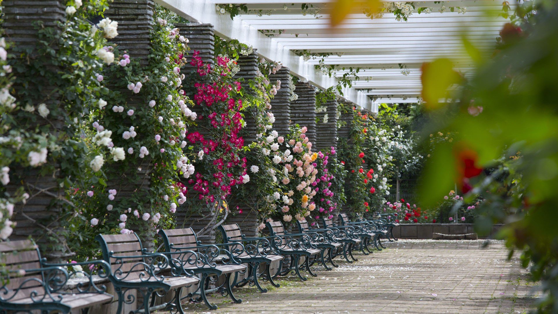 🌳 이쿠타 녹지(이쿠타 료쿠치) 이미지 8